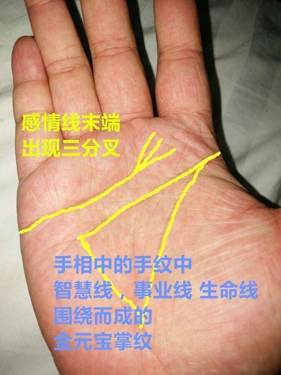 宋佳感情生活_感情生活_感情生活王菲